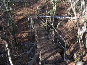 Боткинская тропа