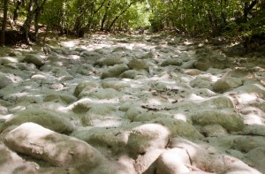 Каньон Узунджи