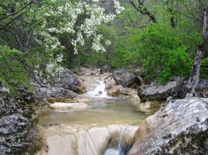 Каньон Узунджи