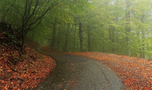 Осень в Крыму