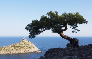 Новый Свет Крым