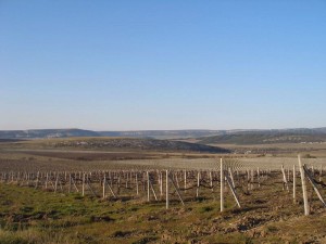 Федюхины высоты