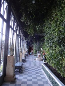 Зимний сад Воронцовский дворец